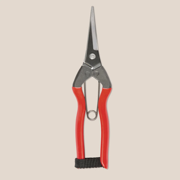 GARDENING SNIPS